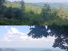 -凤栖山