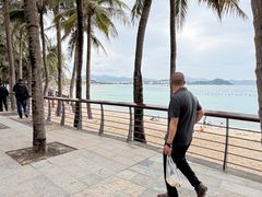 -东郊椰林