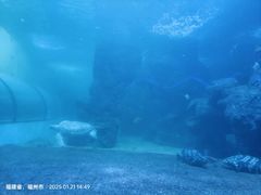 -左海海底世界