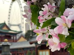 -天津大悲禅院