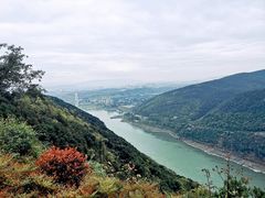 -铁山坪森林公园