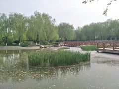 -丰台科技园生态主题公园