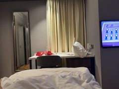 -新加坡柏薇罗切斯特酒店