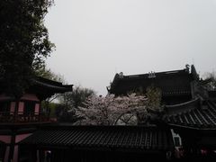 -阊门姚记豆浆(旧学前直营店)