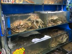 水产区-蚝专家(北滘店)
