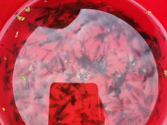 -成都市活水公园