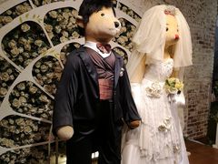 -济州岛泰迪熊博物馆