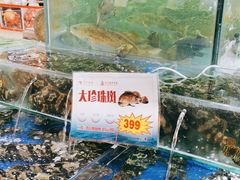 水产区-东江海鲜酒家(艺都分店)
