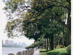 -南宁南湖公园