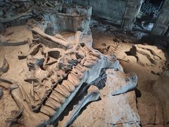 -自贡恐龙博物馆