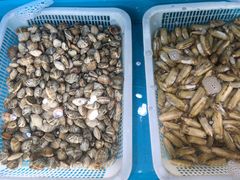 -港畔赶海蒸汽海鲜烧烤自助(仙螺岛店)