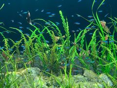 -成都浩海立方海洋公园