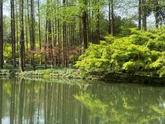 -西湖天地
