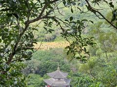 -海南文笔峰盘古文化旅游区
