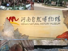 -河南自然博物馆