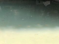 -小洲村
