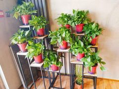 -ZING COFFEE 镜咖啡