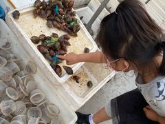 -华声天桥民俗文化园