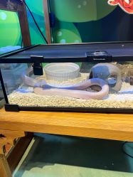 -酷嗒动物文化乐园(cutezoo西溪乐天城店)