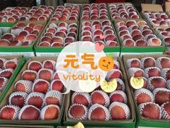-菜园坝水果市场