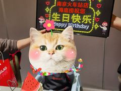 -海底捞火锅(南京红山常发广场店)