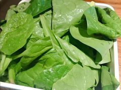 菠菜-老天桥蛙炉火锅(姑苏总店)