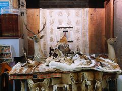 -乔家满族八大碗(流水沟店)