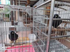 -茶米人台湾料理·精致快简餐