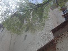 -宗角禄康公园