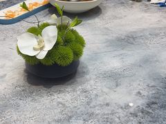 -鲐赏河豚(长寿店)