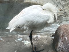 -杭州野生动物世界