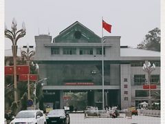 -打洛口岸