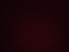 -李连贵熏肉大饼(世纪路店)