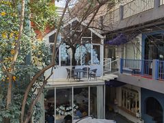 -春树下·树屋花房西餐厅(罍街AS1980店)