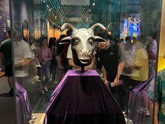 -广西壮族自治区博物馆