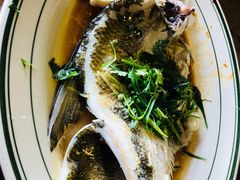 -八仔大富楼·河鲜(西江店)