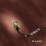 惊蛰节气 惊蜇桃花朵朵压叶枝，春风夜雨玉兰鲜