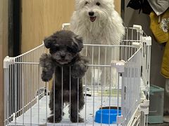 -宁波鄞州万达广场