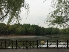 -自然谷恐龙园