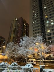 -Oasis Beauty水磨坊科技美肤中心