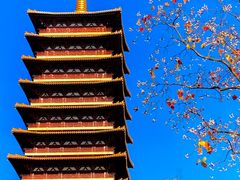 -牛首山文化旅游区