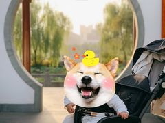 -武汉园博园(武汉自然博物馆)