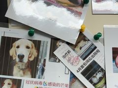 -半岛宠物医院24小时(白果林店)