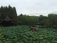 -乌镇望津里精品酒店