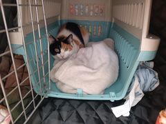 -宠福鑫康馨动物医院·骨科·眼科