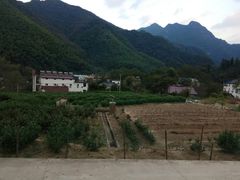 -水墨汀溪风景区