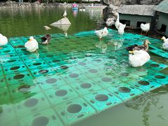 -团结湖公园