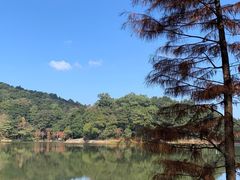 -广州市石门国家森林公园