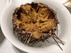 -红鼎豆捞·非遗鲍皇汤火锅(宝丰路店)