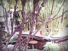 -新竹里馆·花园餐厅(兴苑路店)